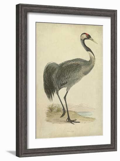 Morris Crane I-null-Framed Art Print