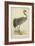 Morris Crane I-null-Framed Art Print