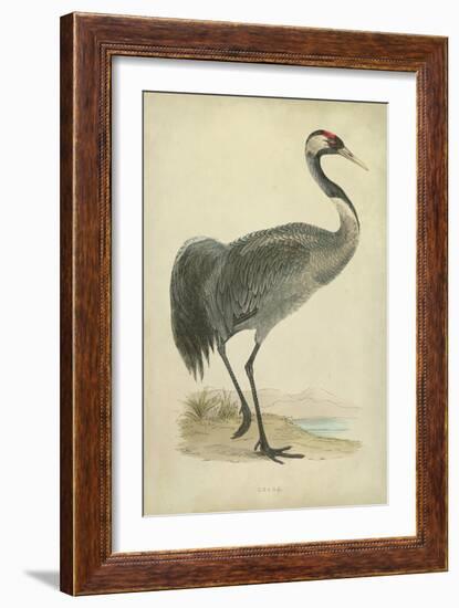 Morris Crane I-null-Framed Art Print