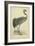 Morris Crane I-null-Framed Art Print