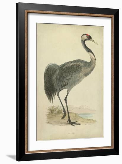 Morris Crane I-null-Framed Art Print