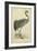 Morris Crane I-null-Framed Art Print