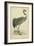 Morris Crane I-null-Framed Art Print