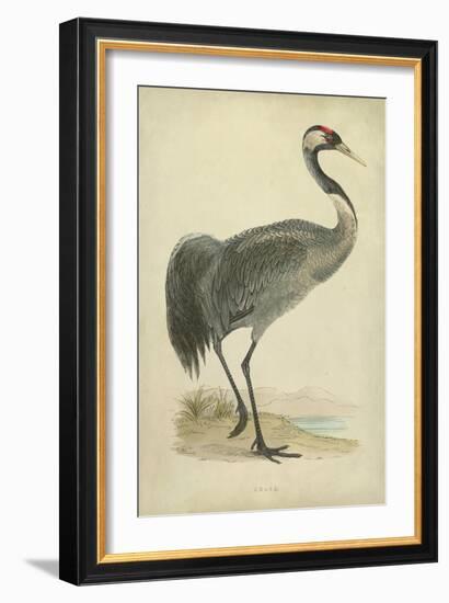 Morris Crane I-null-Framed Art Print