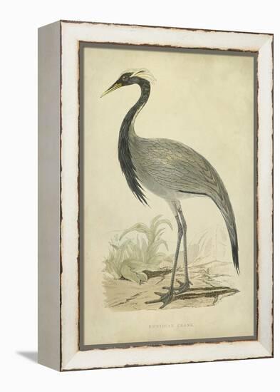 Morris Crane II-null-Framed Stretched Canvas