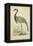 Morris Crane II-null-Framed Stretched Canvas