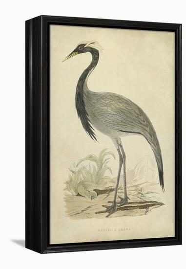 Morris Crane II-null-Framed Stretched Canvas