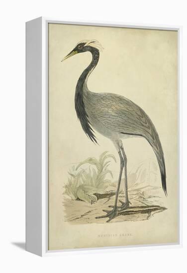 Morris Crane II-null-Framed Stretched Canvas