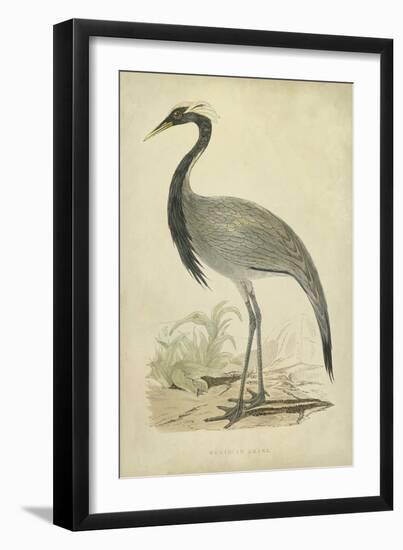 Morris Crane II-null-Framed Art Print