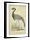 Morris Crane II-null-Framed Art Print