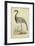 Morris Crane II-null-Framed Art Print