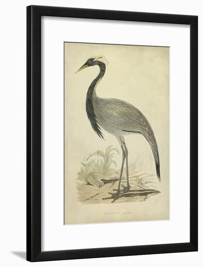 Morris Crane II-null-Framed Art Print