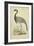 Morris Crane II-null-Framed Art Print