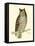 Morris Mottled Owl-Reverend Francis O. Morris-Framed Stretched Canvas