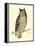 Morris Mottled Owl-Reverend Francis O. Morris-Framed Stretched Canvas