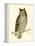 Morris Mottled Owl-Reverend Francis O. Morris-Framed Stretched Canvas