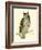 Morris Mottled Owl-Reverend Francis O. Morris-Framed Art Print