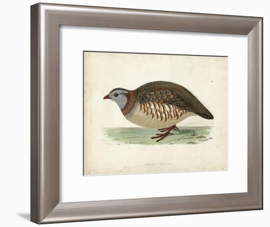 Morris Pheasants III-null-Framed Art Print