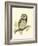 Morris Tengmalm's Owl-Reverend Francis O. Morris-Framed Art Print