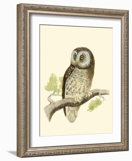 Morris Tengmalm's Owl-Reverend Francis O. Morris-Framed Art Print