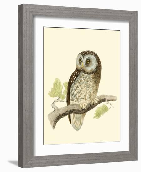 Morris Tengmalm's Owl-Reverend Francis O. Morris-Framed Art Print