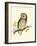 Morris Tengmalm's Owl-Reverend Francis O. Morris-Framed Art Print