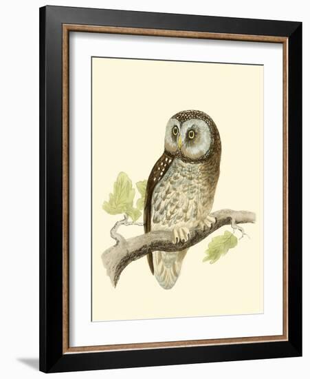 Morris Tengmalm's Owl-Reverend Francis O. Morris-Framed Art Print