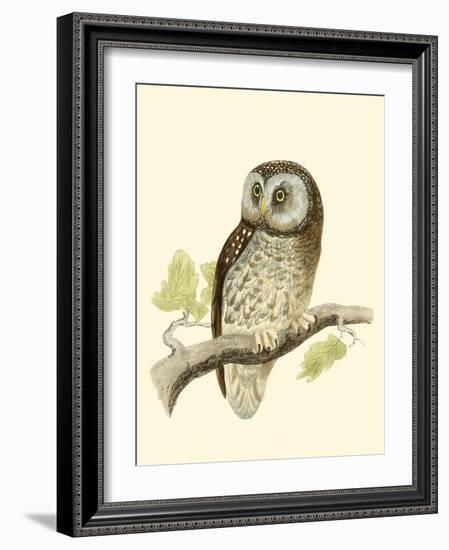 Morris Tengmalm's Owl-Reverend Francis O. Morris-Framed Art Print