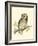 Morris Tengmalm's Owl-Reverend Francis O. Morris-Framed Art Print