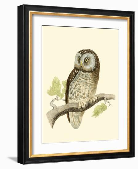 Morris Tengmalm's Owl-Reverend Francis O. Morris-Framed Art Print