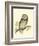 Morris Tengmalm's Owl-Reverend Francis O. Morris-Framed Art Print