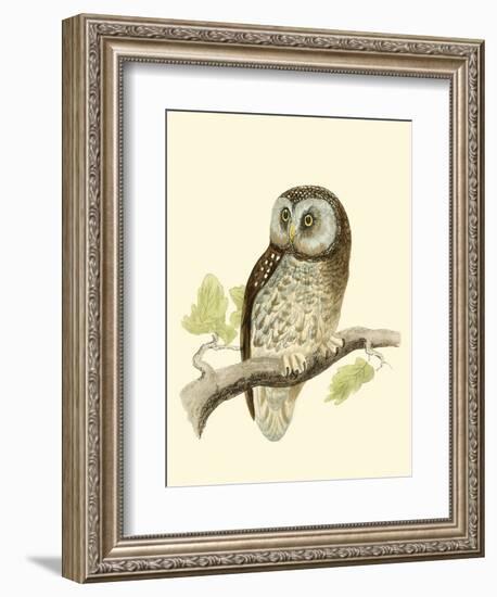 Morris Tengmalm's Owl-Reverend Francis O. Morris-Framed Art Print