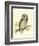 Morris Tengmalm's Owl-Reverend Francis O. Morris-Framed Art Print