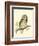 Morris Tengmalm's Owl-Reverend Francis O. Morris-Framed Art Print