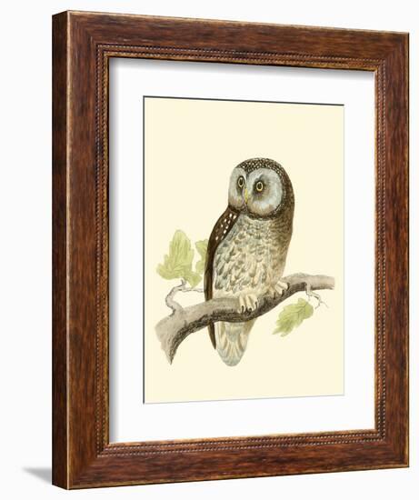 Morris Tengmalm's Owl-Reverend Francis O. Morris-Framed Art Print