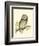 Morris Tengmalm's Owl-Reverend Francis O. Morris-Framed Art Print