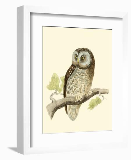 Morris Tengmalm's Owl-Reverend Francis O. Morris-Framed Art Print