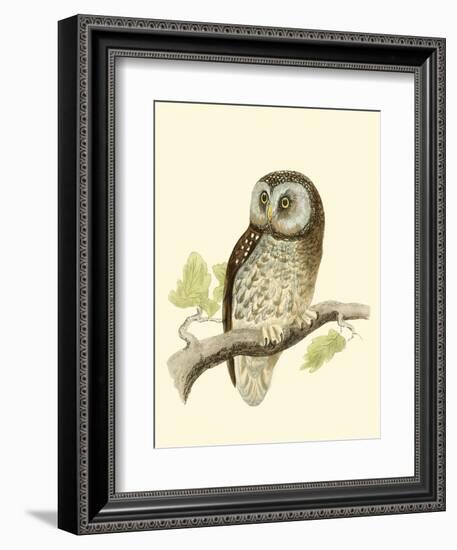 Morris Tengmalm's Owl-Reverend Francis O. Morris-Framed Art Print