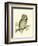 Morris Tengmalm's Owl-Reverend Francis O. Morris-Framed Art Print