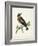 Morris Whinchat-Reverend Francis O. Morris-Framed Art Print