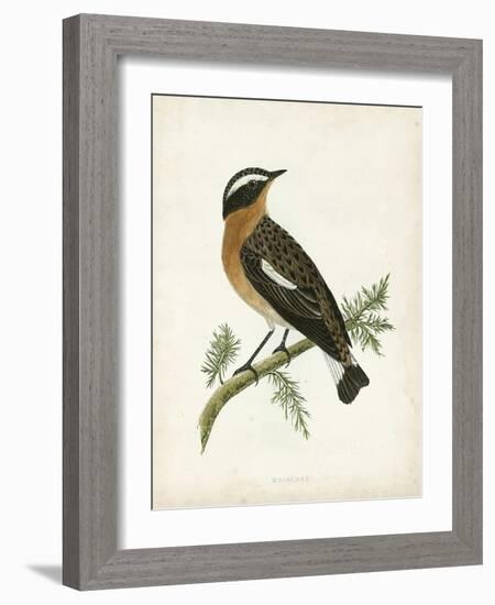 Morris Whinchat-Reverend Francis O. Morris-Framed Art Print