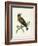 Morris Whinchat-Reverend Francis O. Morris-Framed Art Print