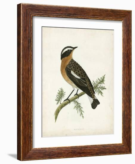 Morris Whinchat-Reverend Francis O. Morris-Framed Art Print