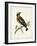 Morris Whinchat-Reverend Francis O. Morris-Framed Art Print