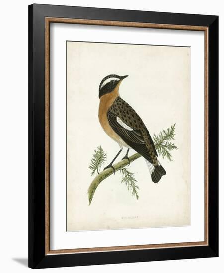 Morris Whinchat-Reverend Francis O. Morris-Framed Art Print