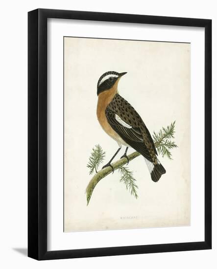 Morris Whinchat-Reverend Francis O. Morris-Framed Art Print