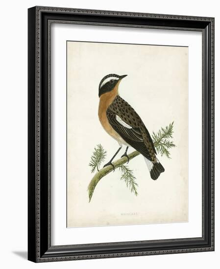 Morris Whinchat-Reverend Francis O. Morris-Framed Art Print