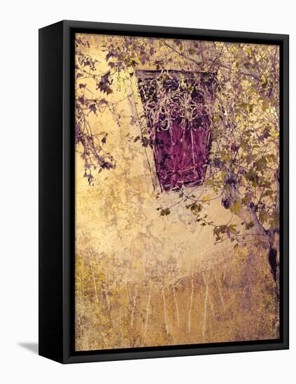 Morrocan Melody-Doug Chinnery-Framed Premier Image Canvas