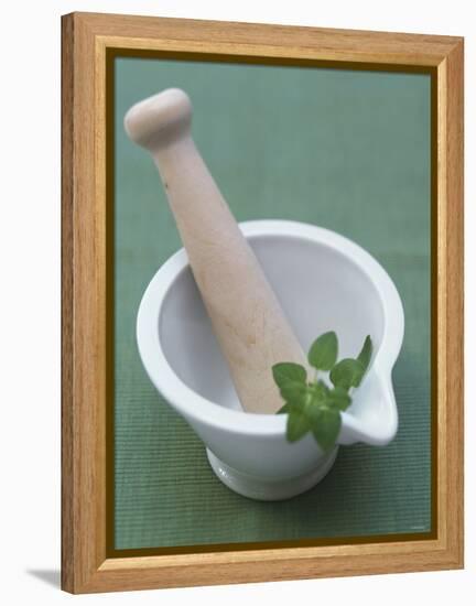 Mortar and Pestle with Thai Basil-Peter Medilek-Framed Premier Image Canvas