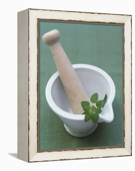 Mortar and Pestle with Thai Basil-Peter Medilek-Framed Premier Image Canvas